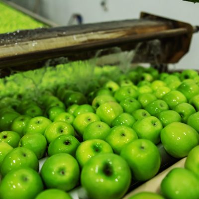 Organic fruit and vegetable industry. Production of green apples in a factory for the production and distribution of fruits. Healthy food, cleaning of ripe apples in the production plant with water Organic fruit and vegetable industry. Production of green apples in a factory for the production and distribution of fruits. Healthy food, cleaning of ripe apples in the production plant with water